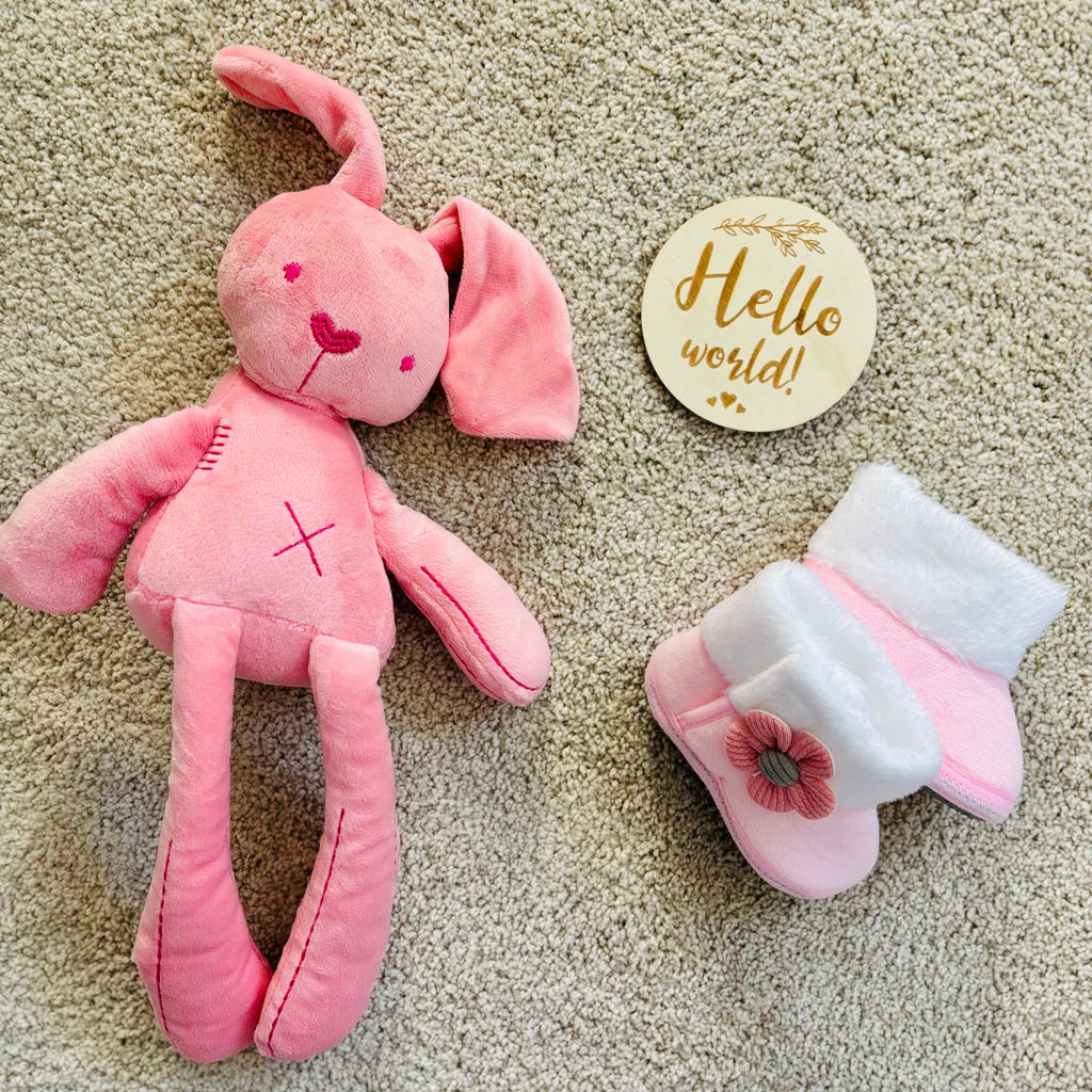 Hello World – The Princess Edition