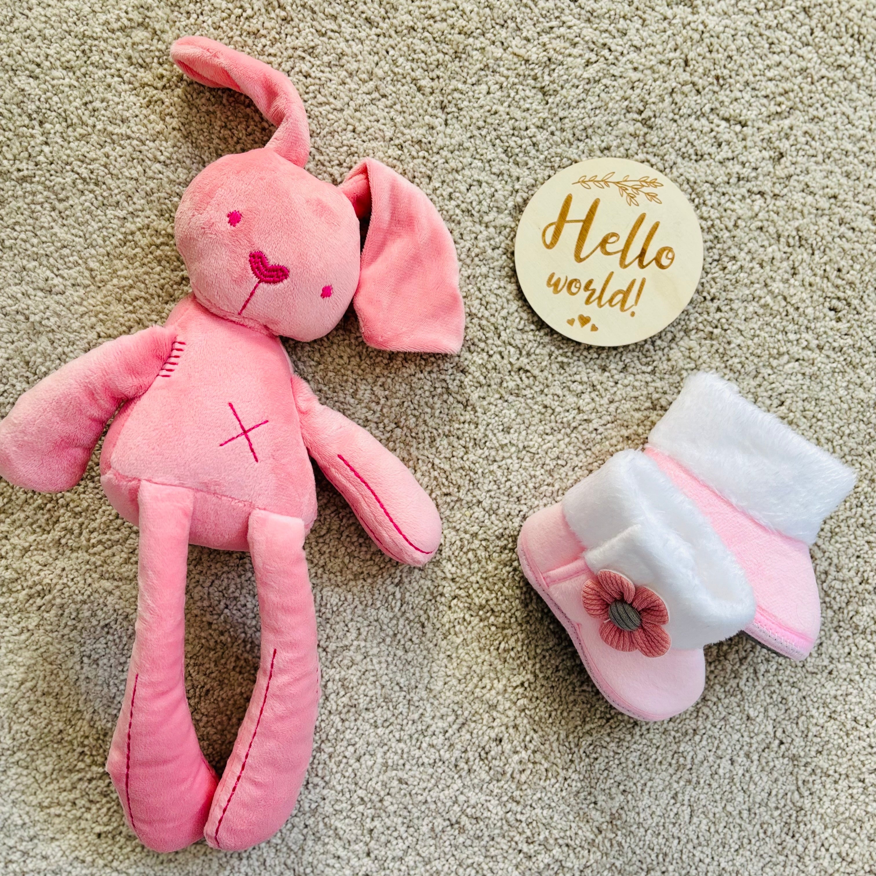 Hello World – The Princess Edition